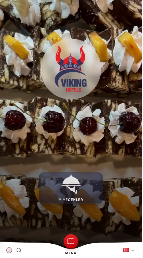 Viking Star — menu design